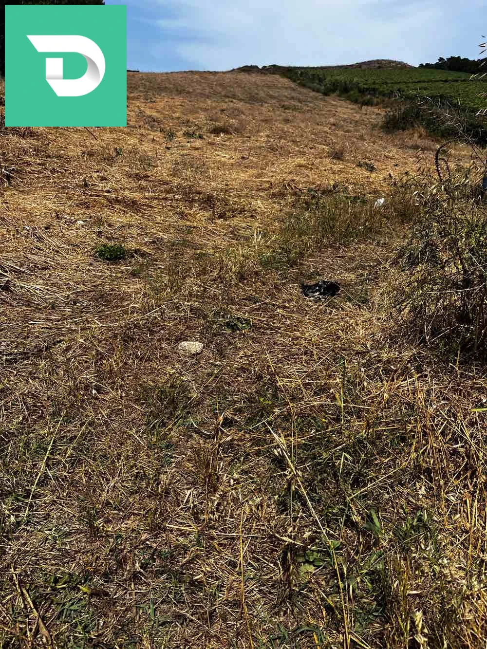 À vendre Les terres agricoles les chambres 35 BOUMERDES 