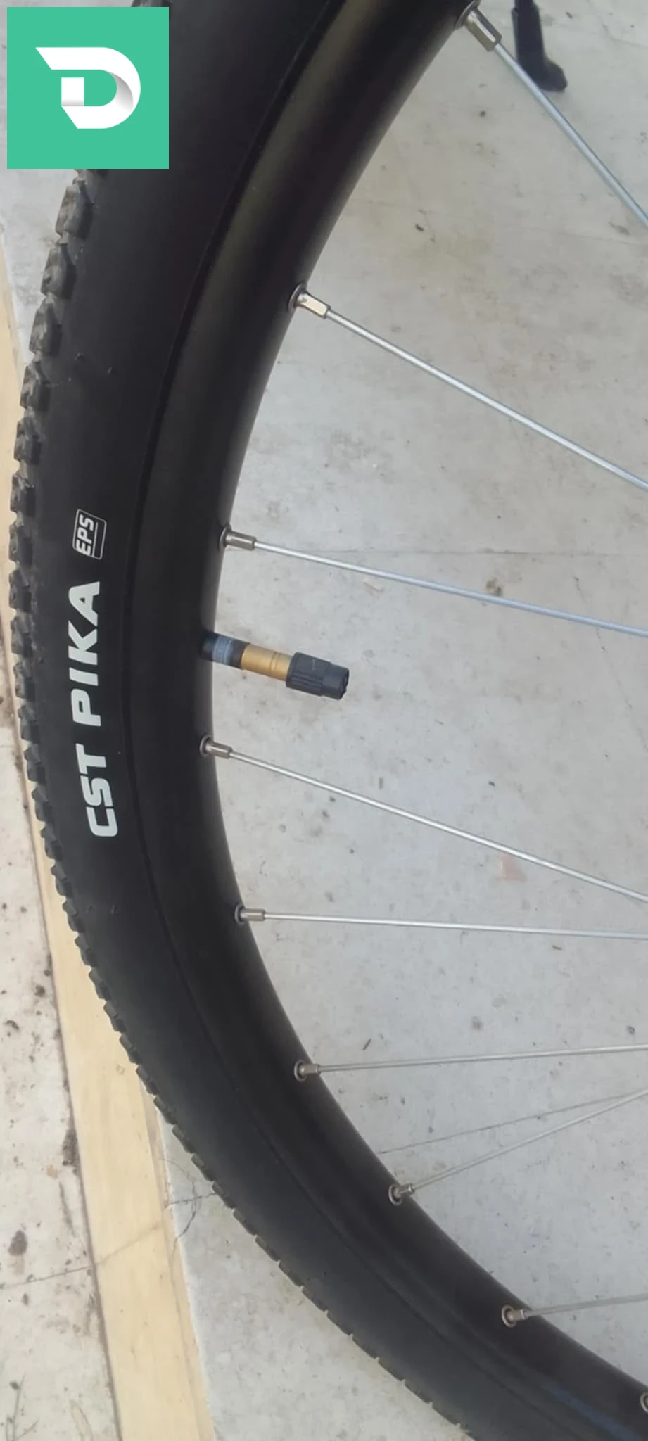 vélos électriques 