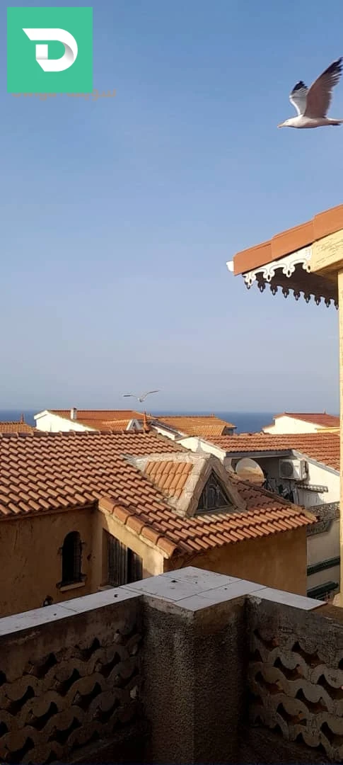 À vendre Villas les chambres 8 16 ALGER 