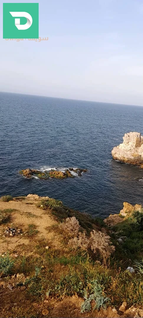 À vendre Villas les chambres 8 16 ALGER 