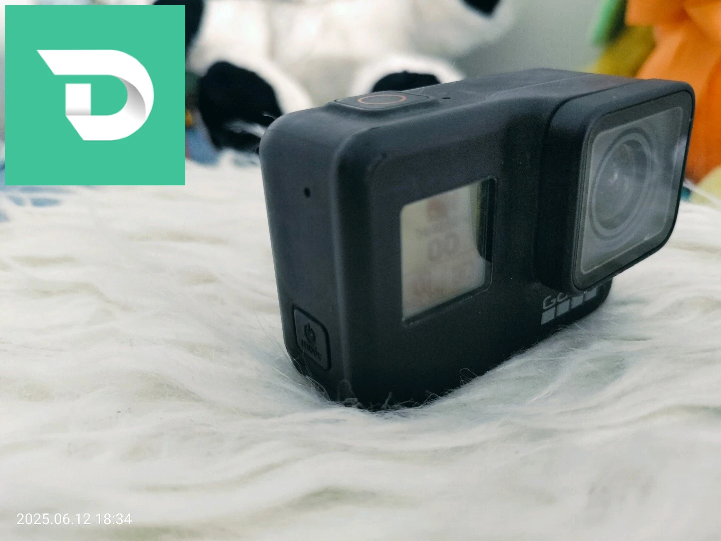 Go Pro 