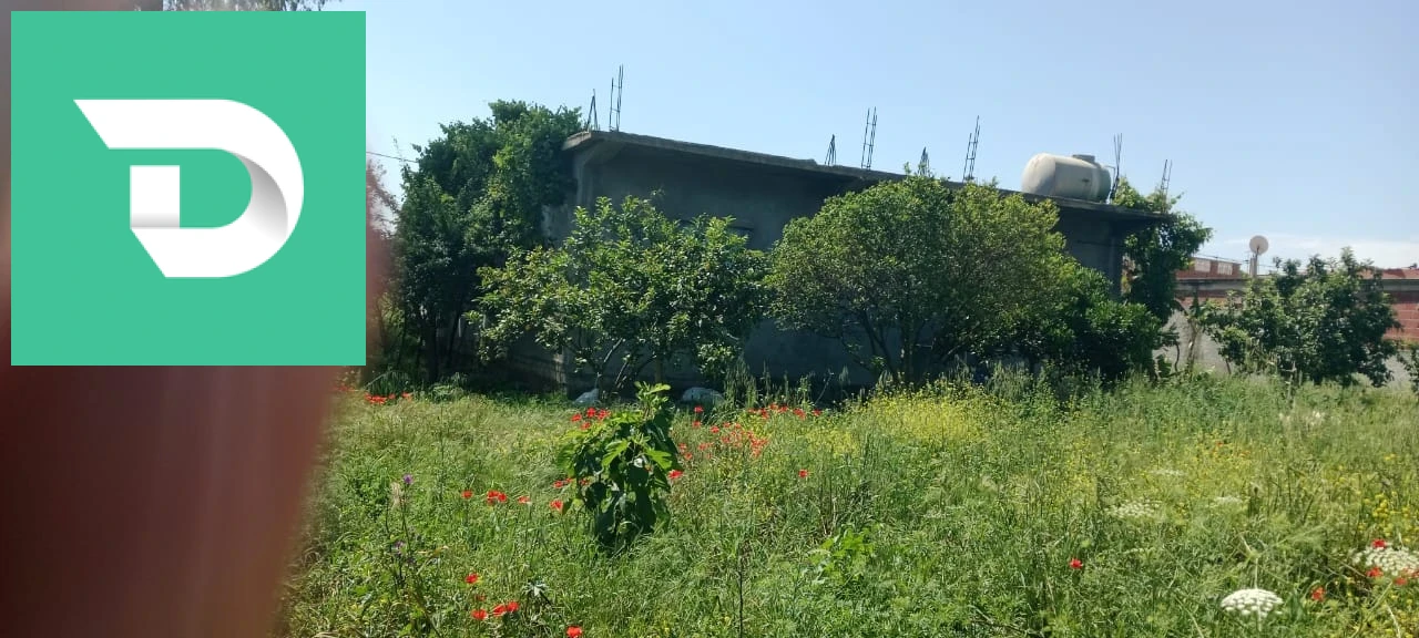 À vendre Appartements les chambres 4 24 GUELMA 