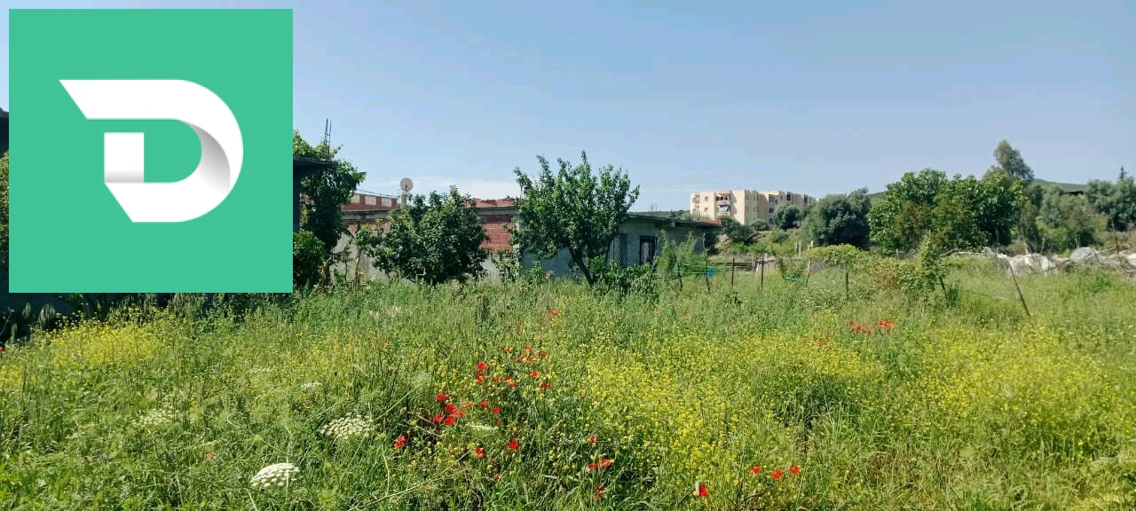 À vendre Appartements les chambres 4 24 GUELMA 
