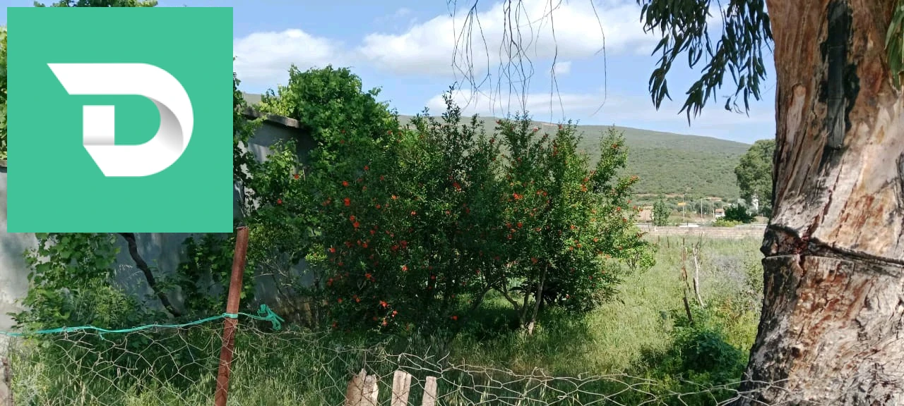À vendre Appartements les chambres 4 24 GUELMA 