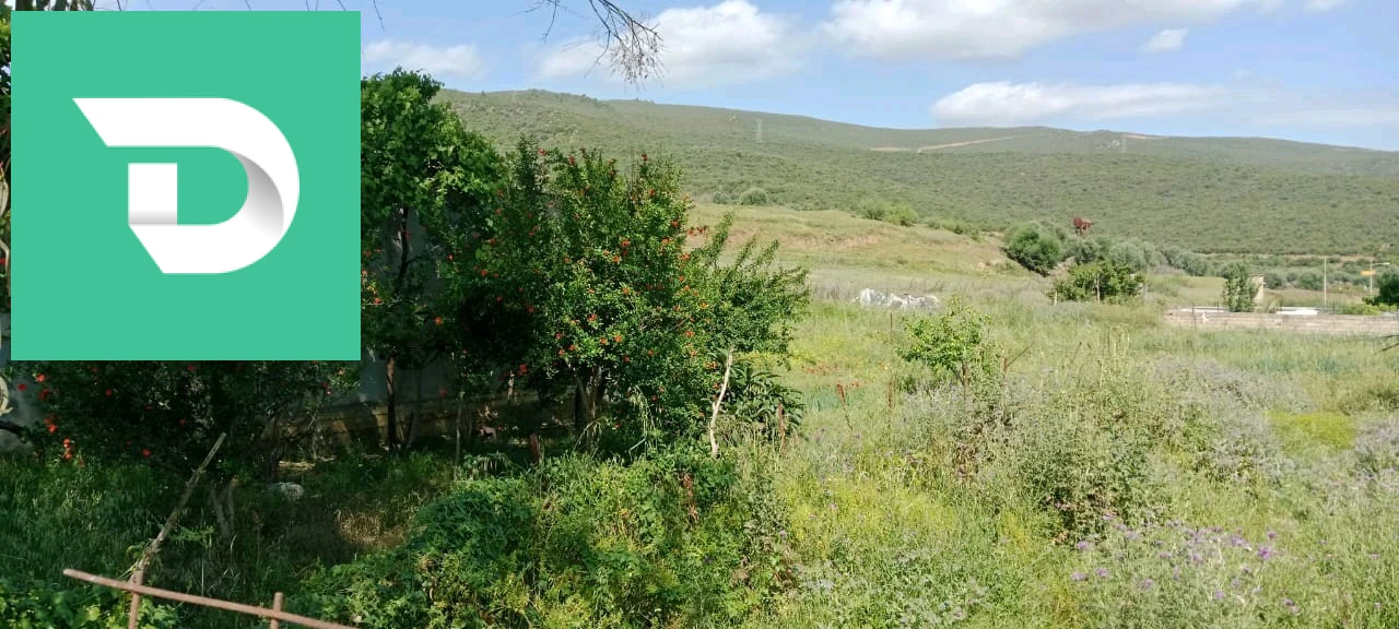 À vendre Appartements les chambres 4 24 GUELMA 