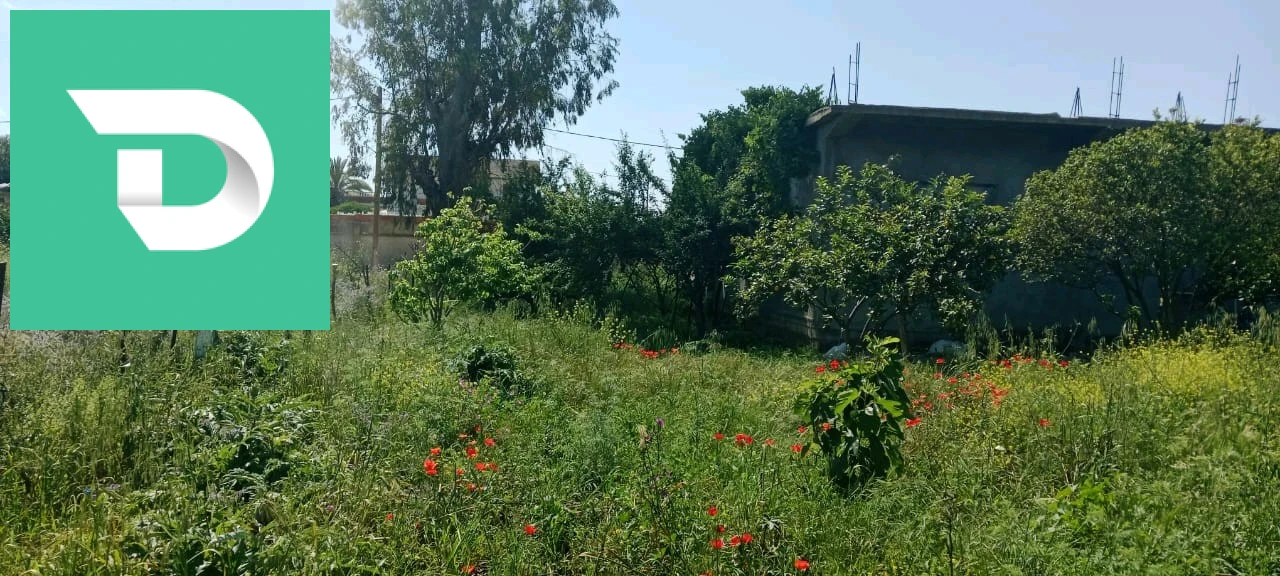 À vendre Appartements les chambres 4 24 GUELMA 