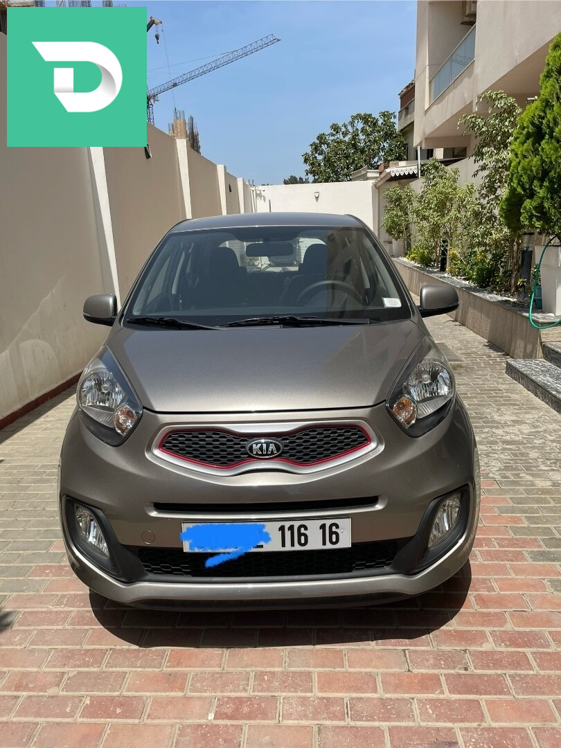 Seat Ibiza 2012 16 ALGER 