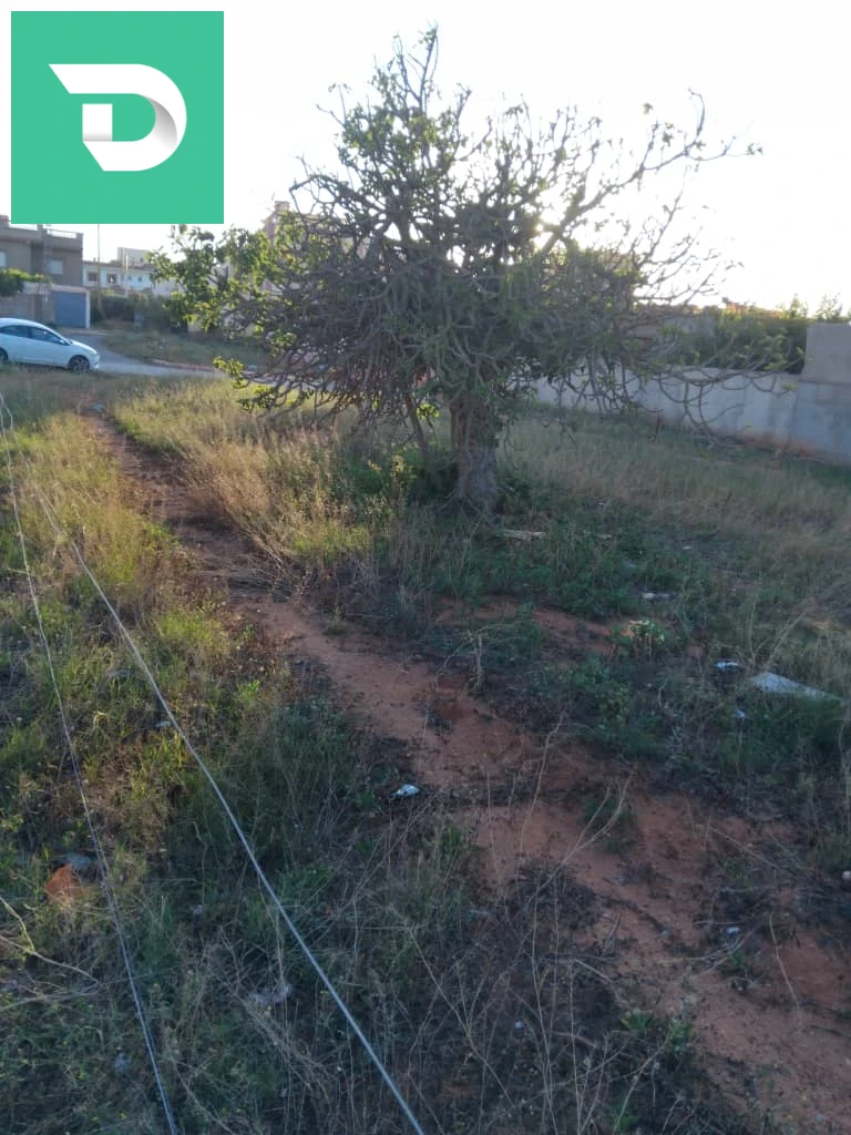 À vendre autres terres les chambres 27 MOSTAGANEM 