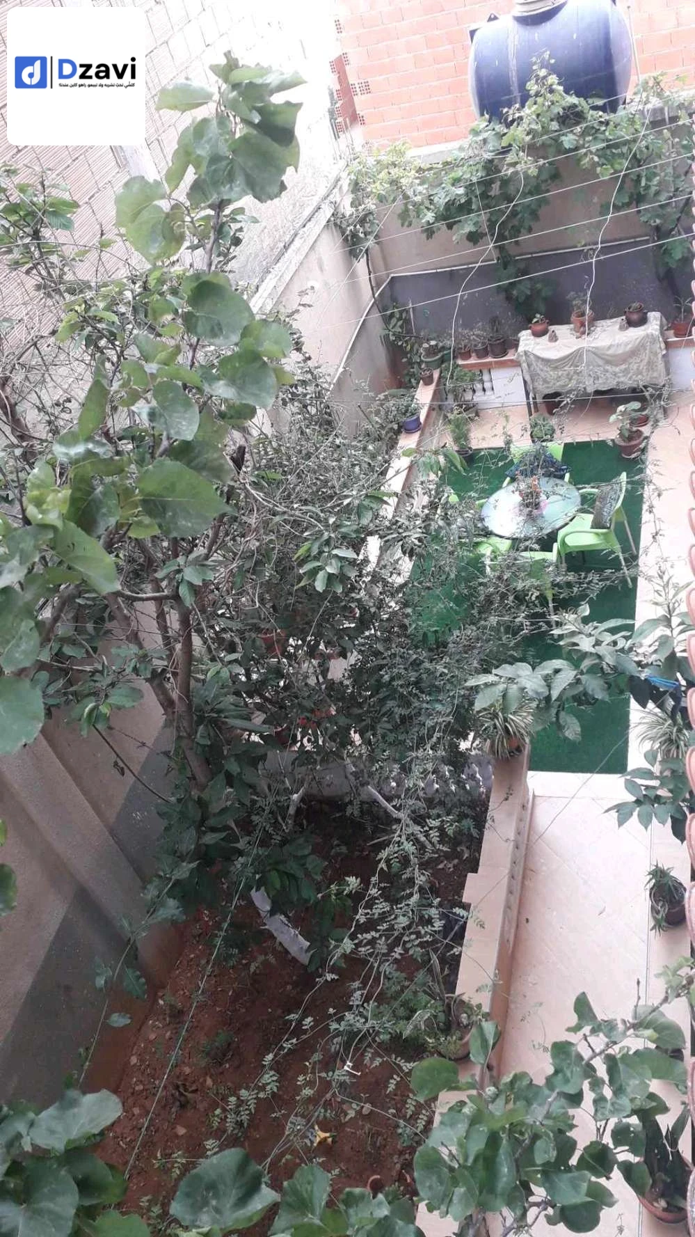 Villas À vendre à 16 ALGER superficie 240 m2