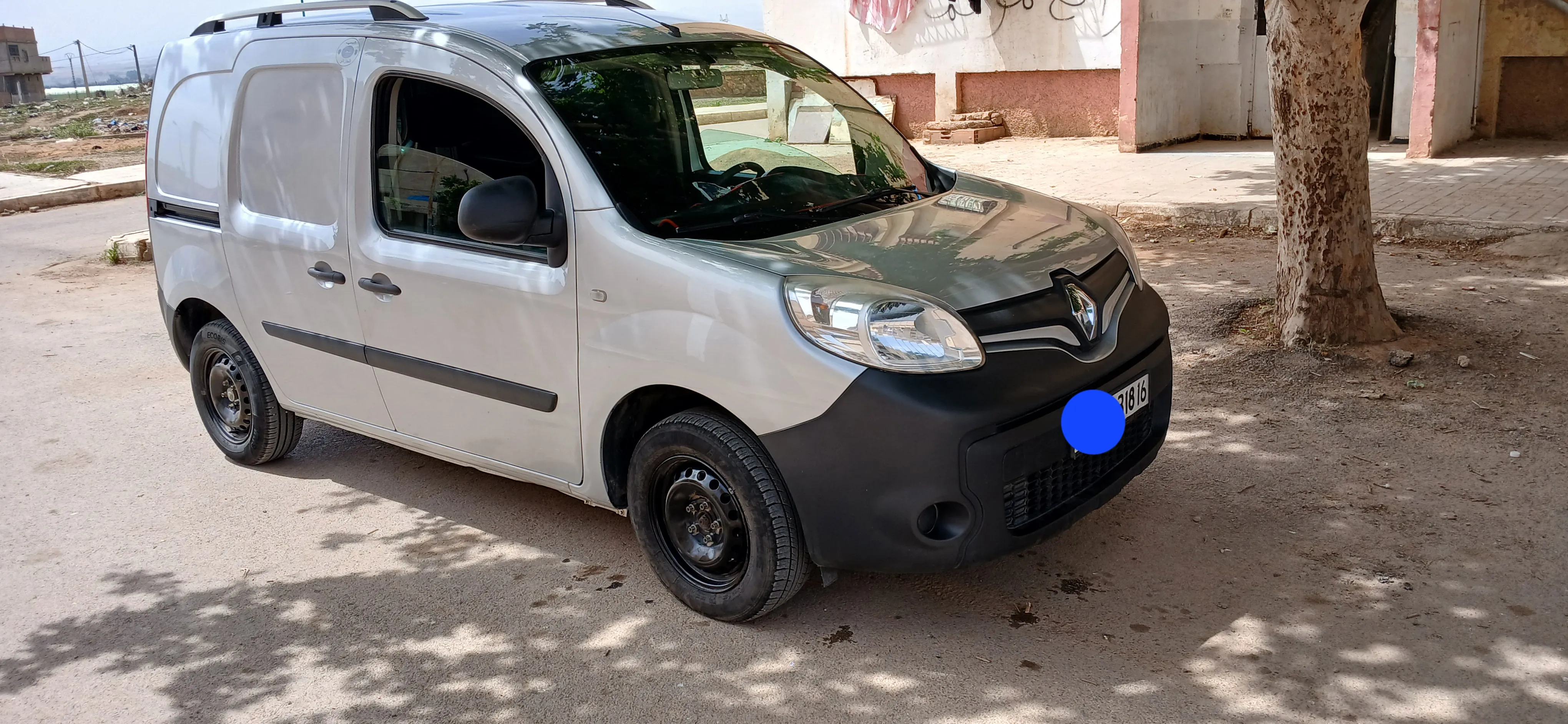Kongoo