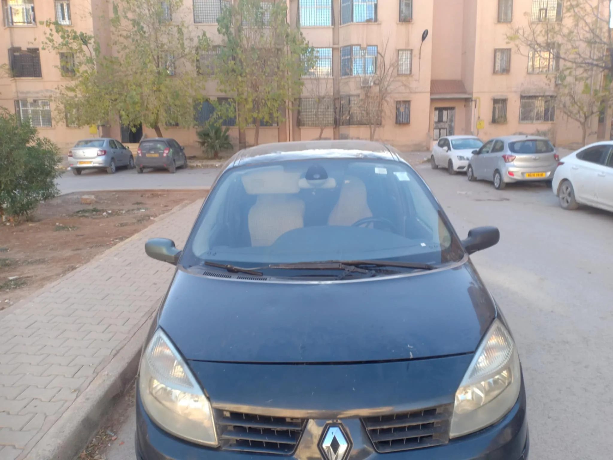 Mégane senic