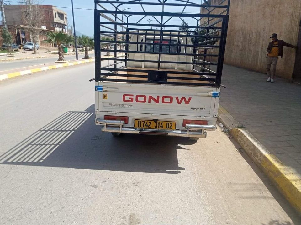 GONOW MINI TRUCK SC