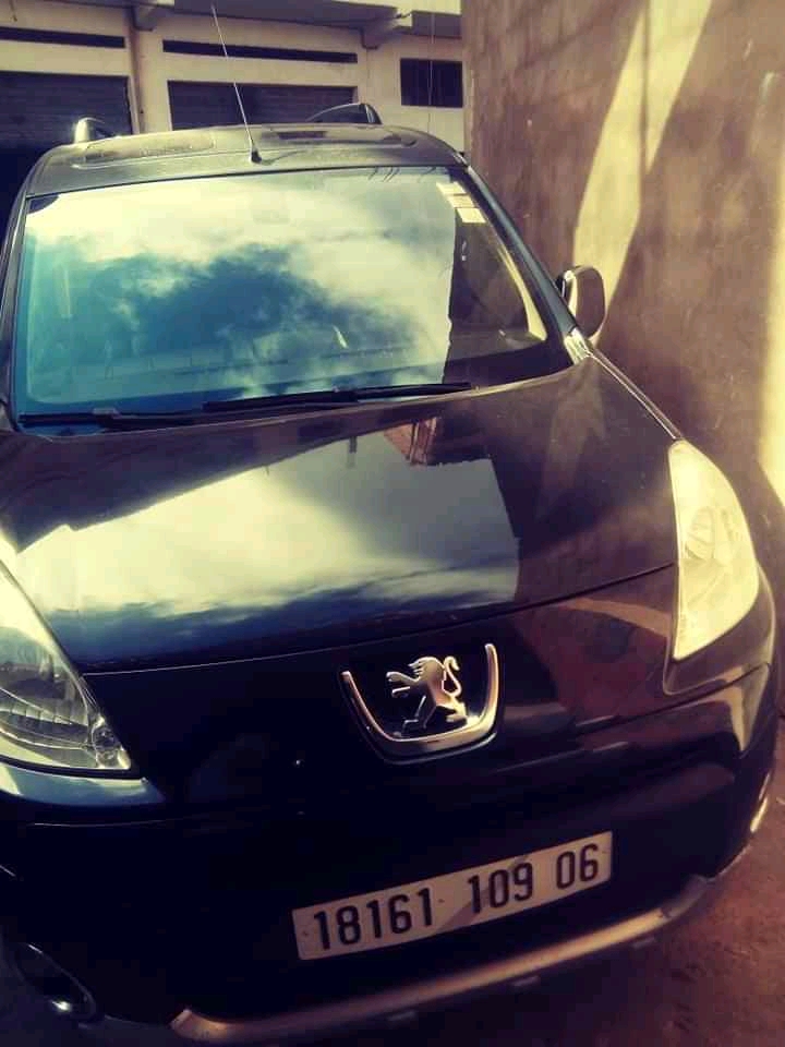 PEUGEOT PARTNER