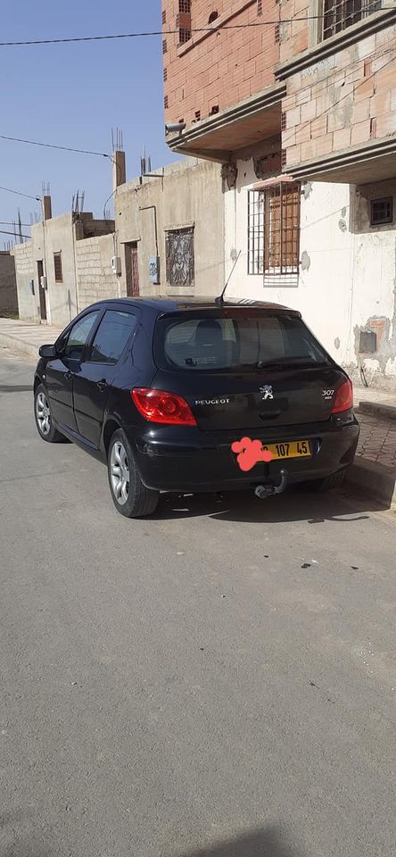 PEUGEOT 307