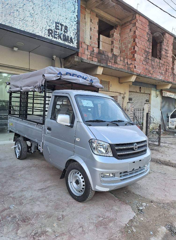 DFSK MINI TRUCK