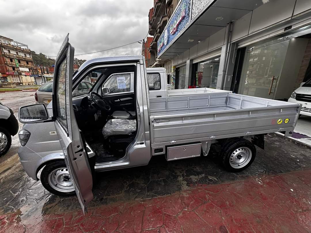 DFSK MINI TRUCK