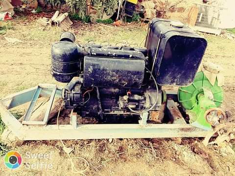Kia 2025 21 SKIKDA 