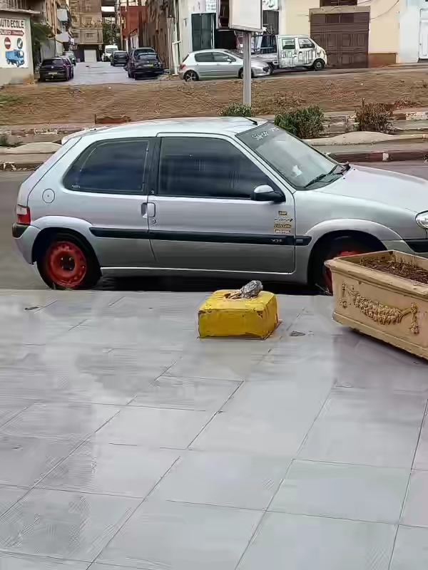 RENAULT SYMBOL