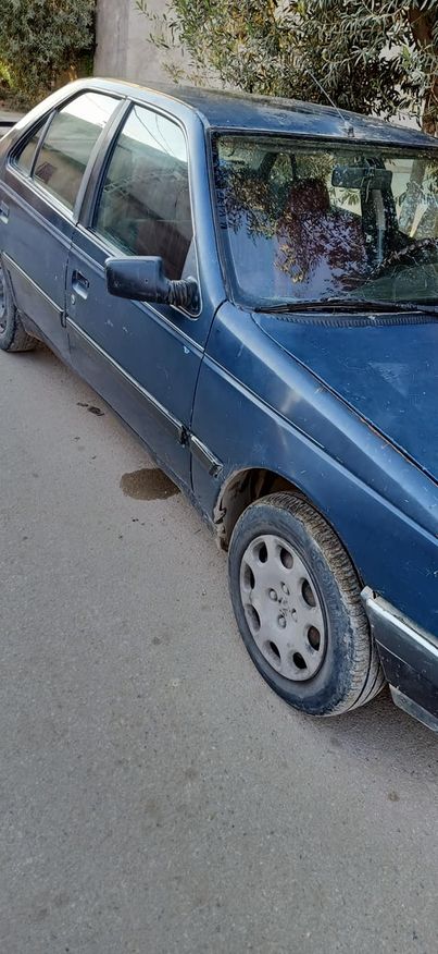 PEUGEOT 405