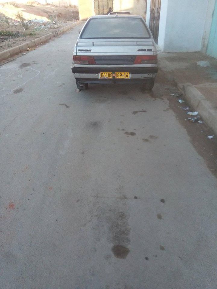 PEUGEOT 405