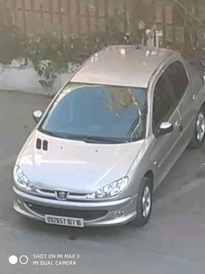 PEUGEOT 206