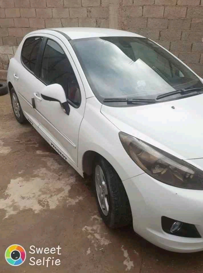 PEUGEOT 207